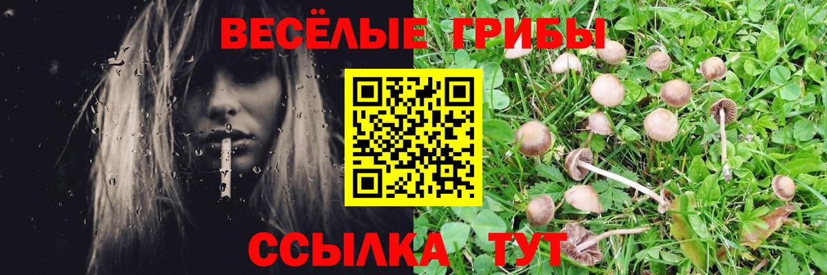 Королёв  Галлюциногенные грибы ЛСД  Вход с VPN 